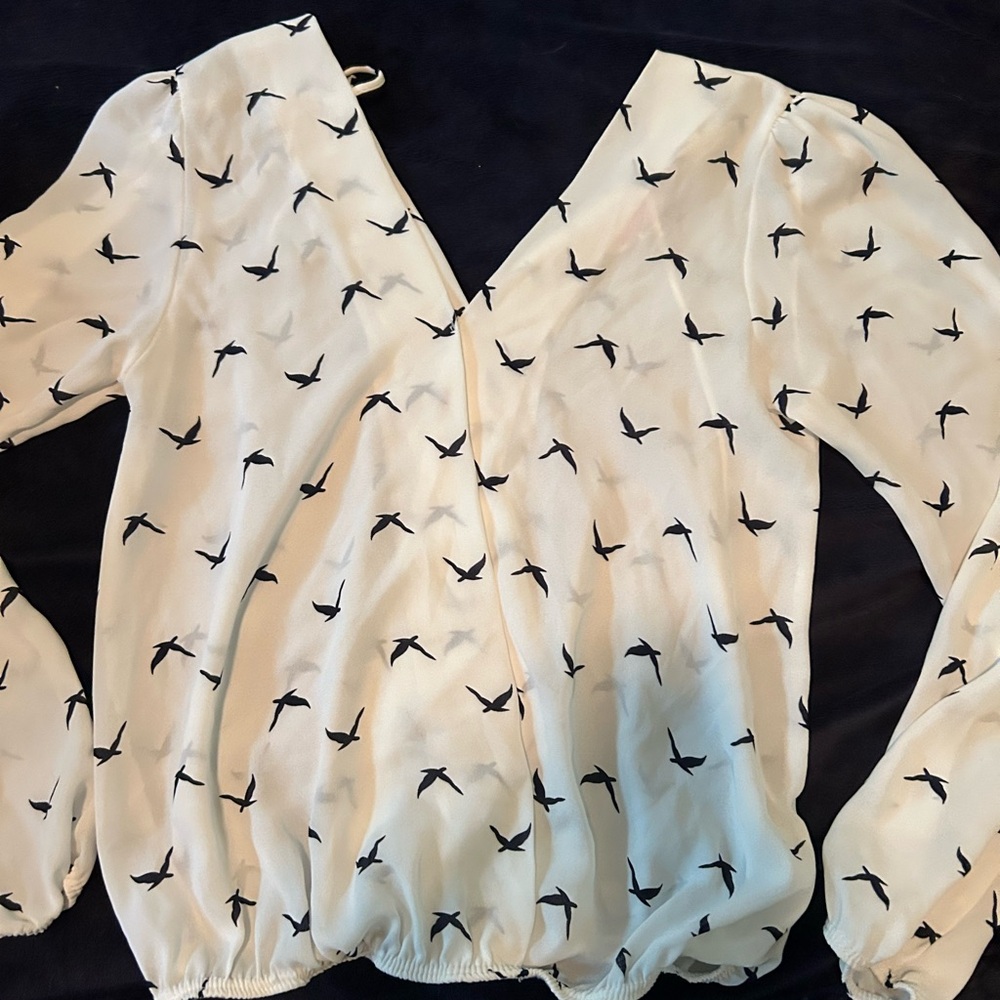 Black Bird Print